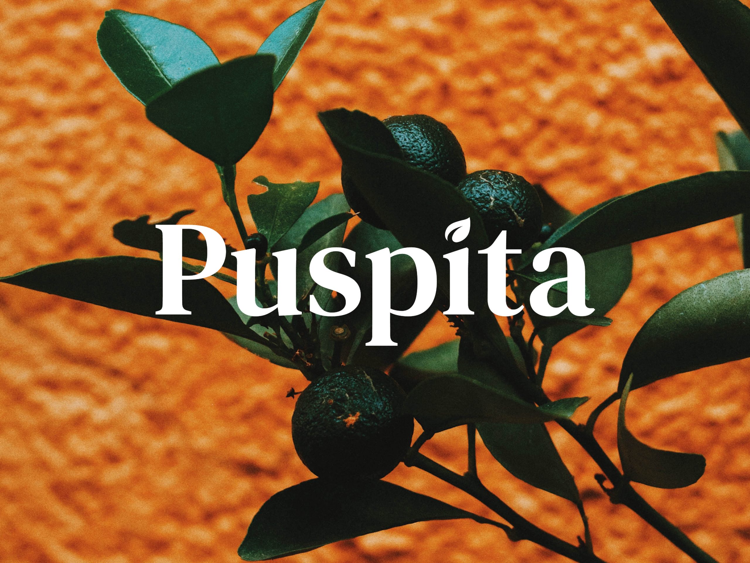 Puspita-scaled-1